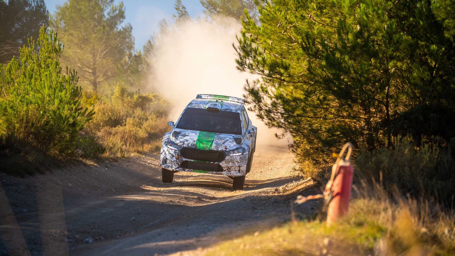 Skoda-Fabia-RS-Rally2-8-62ac4a21eafdf