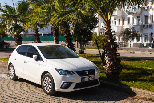 Seat-Ibiza_zmensena